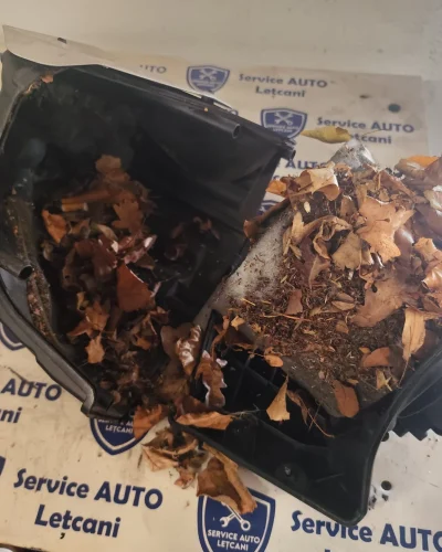 reviziie-auto-schimb-ulei-filtre-7